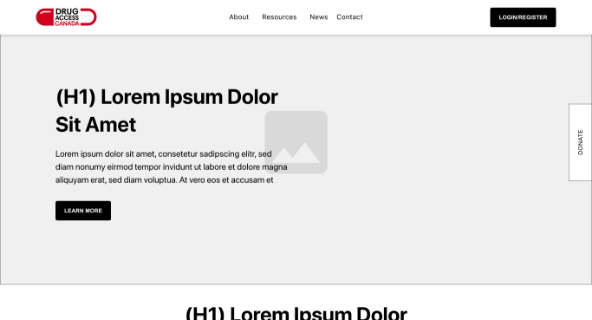Drug Access Canada Success Story - Helathcare web design by Inorbital